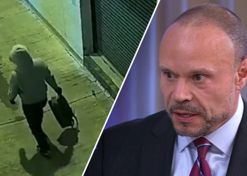 Zamjenik direktora FBI -a Dan Bongino tvrdi da je ured za zatvaranje osumnjičenih koji su posadili 6. siječnja DC CIPE bombe