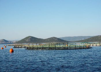 Zbog klimatskih promjena bit će potrebno sve više inovacija u poljoprivredi i akvakulturi