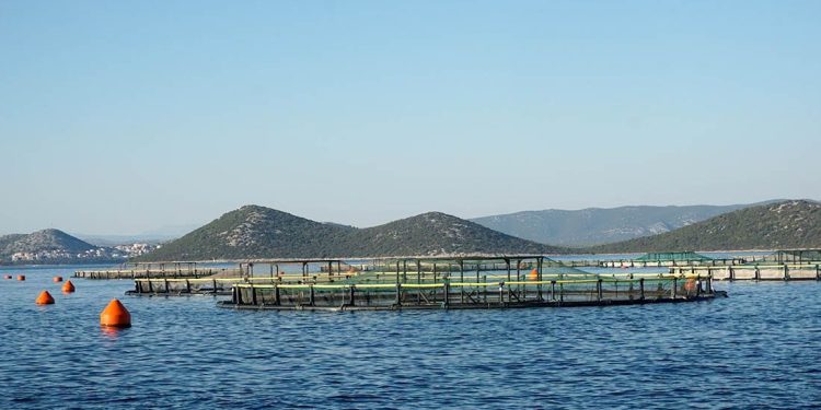 Zbog klimatskih promjena bit će potrebno sve više inovacija u poljoprivredi i akvakulturi