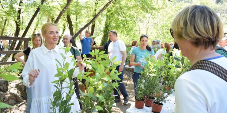 Zelena tradicija: Nacionalni park „Krka“ podijelio tisuću autohtonih sadnica
