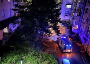 Zmija ušla u stan u Konjicu, brza reakcija vatrogasaca