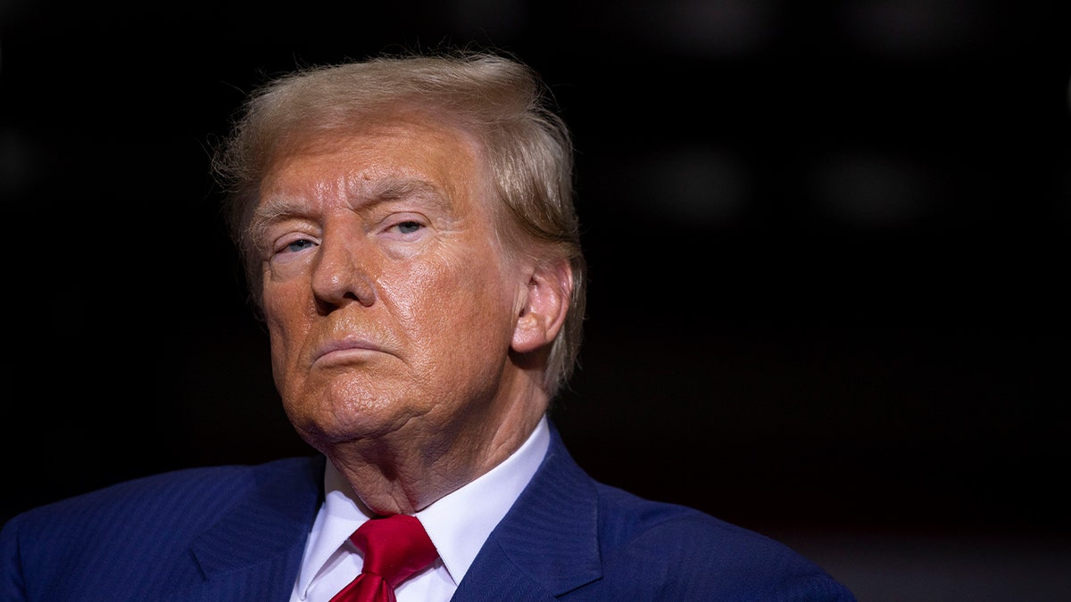 Donald Trump Closeup pucao