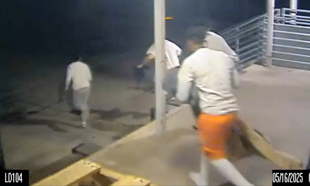 Video koji je objavio šerifov ured župe Orleans pokazuje da muškarci bježe iz zatvora u bijegu. Lamb se rugao policiji zbog toga što je to dopustio.