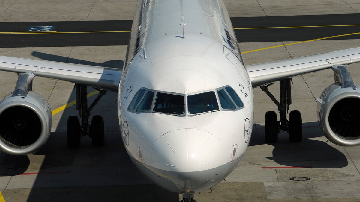 Ptice pogled na vjetrobransko staklo Lufthansa Airbus A321-100