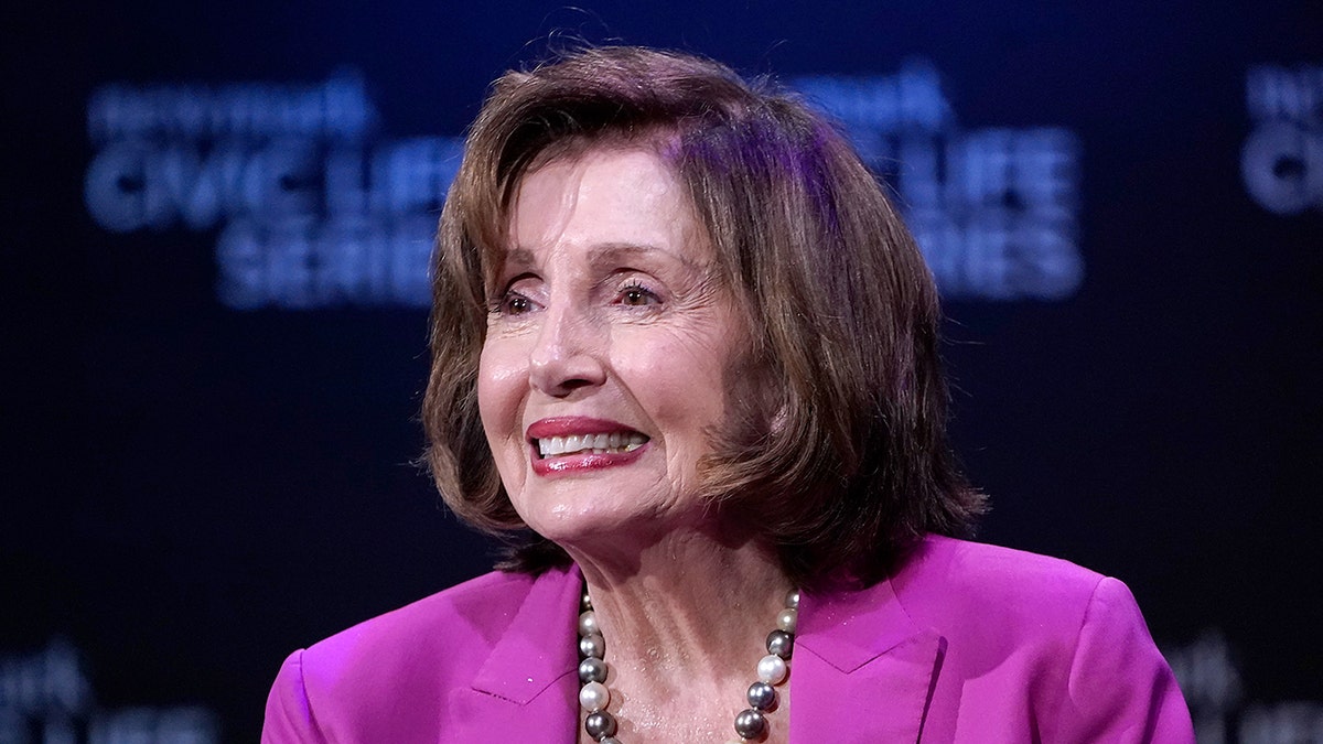 Rep. Nancy Pelosi Closeup pucanj