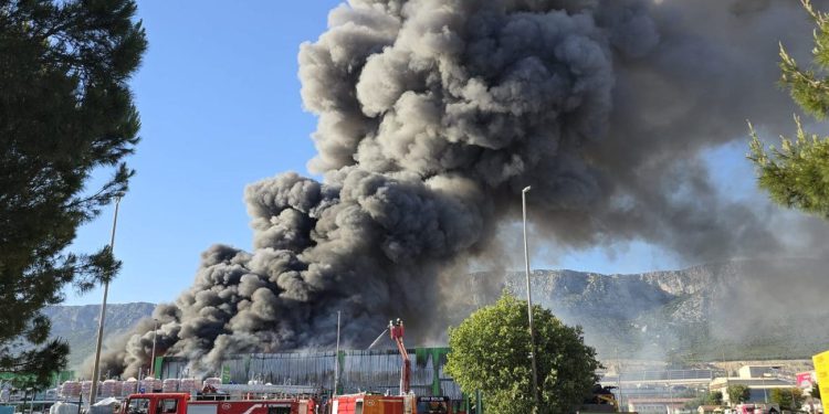GUSTI DIM I PLAMENI KAOS U SUĆURCU: Požar se širi, vatrogasci u borbi za kontrolu!