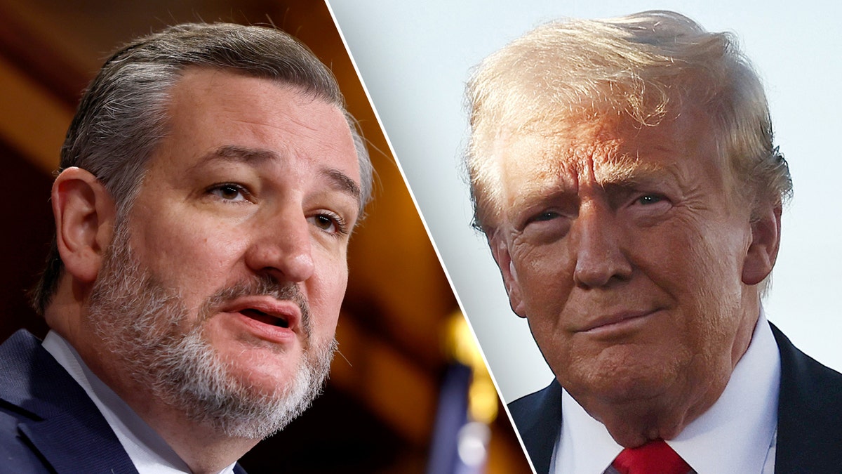 Ted Cruz, Donald Trump podijeljen
