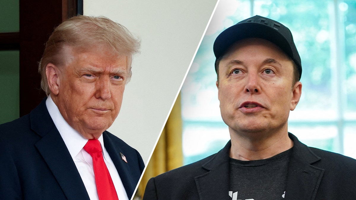 Predsjednik Donald Trump; Elon Musk u lijevom desnom dijelu