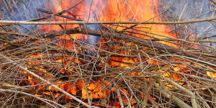 85-godišnja baka na šibenskom području izazvala požar jer je spaljivala biljni otpad