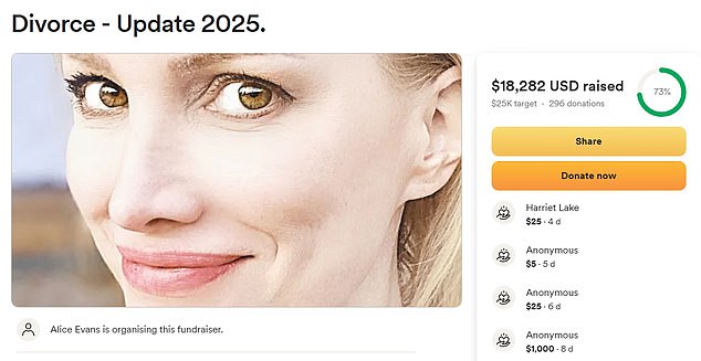 Potom je stvorila vlastiti prikupljanje sredstava za razvod, postavljajući GoFundMe koji je do sada prikupio 18.828 dolara, ali priznala je da je 'tako neugodno' da to mora učiniti