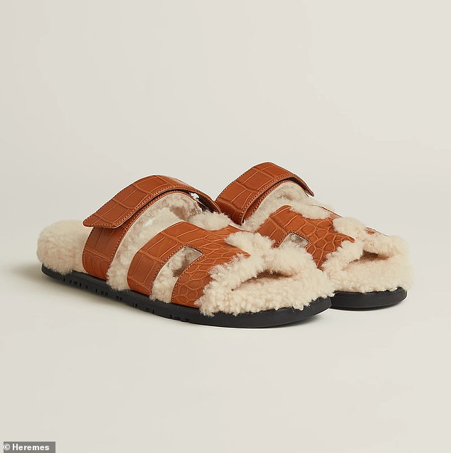 Podijelila je isječak sa svojih 52.000 sljedbenika koji pokazuju par sandala Hermès chypre, vrijedne oko 13.000 dolara