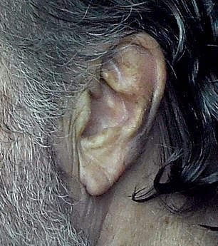 Čini se da je Selleck nedavno obojao kosu tamnim mrljama na hrskavici uha