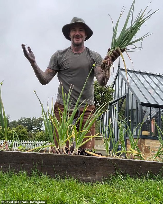 Kaže se da jednokratno izdanje sadrži Beckhamov najomiljeniji recept, kao i njegovi seoski prvaci, te majstori i žene koji su pomogli u oblikovanju njegovog doma Cotswolds