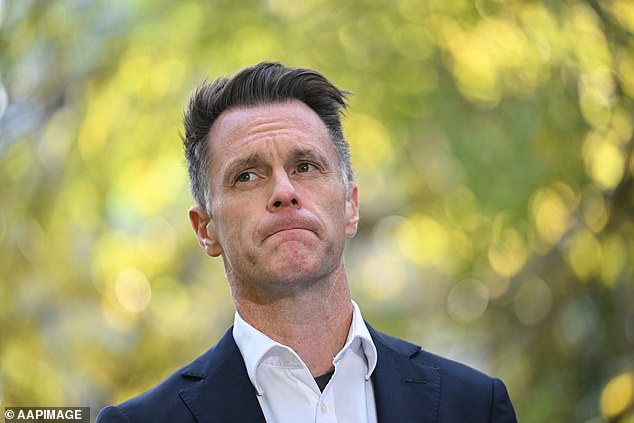 Minns je vidio smiješnu stranu u okladu, ali dodao je da je to ozbiljno nezakonito prije nego što je otvorio njegovu okladu s premijerom Queenslanda Davidom Crisafulli