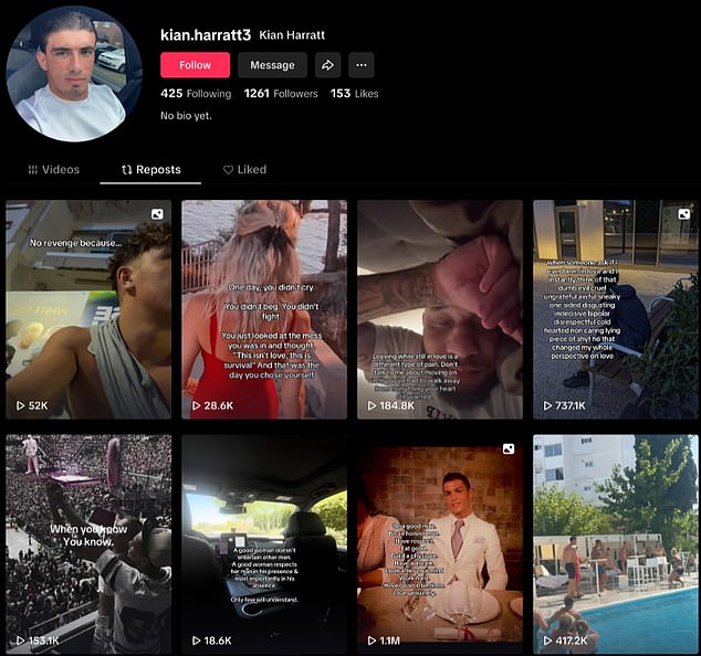 Harratt je na svojoj Tiktok stranici ponovno objavio isječak prepirke, a video se vidi više od 400 000 puta