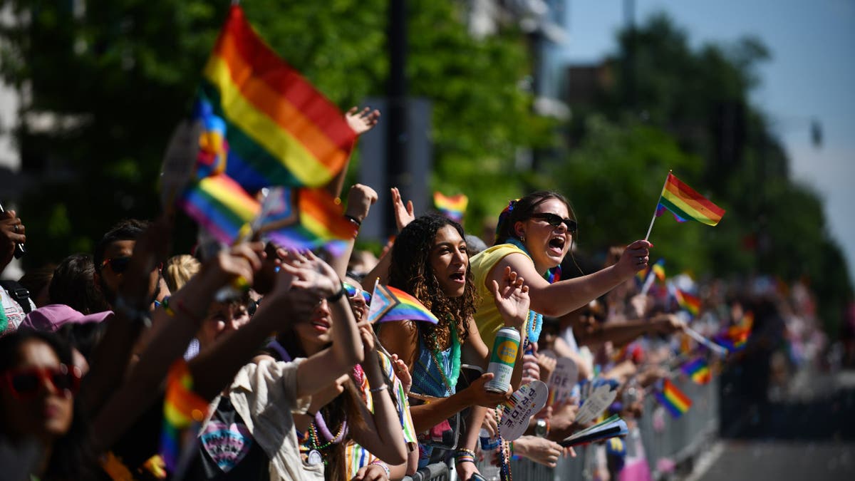 Stotine sudjeluju u godišnjoj paradi DC Pride 8. lipnja 2024. (Astrid Riecken/Washington Post putem Gettyja)