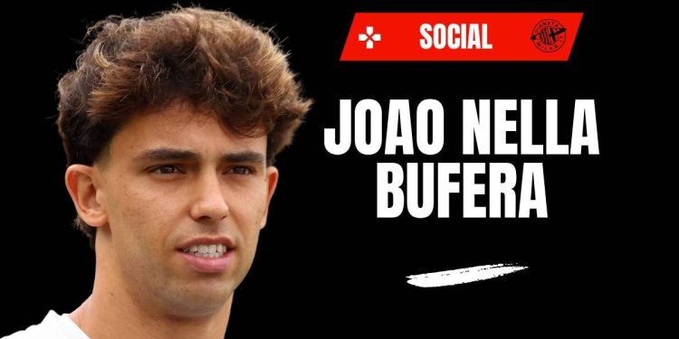 Bivši Milan, Joao Felix u oluji: “Okrutnost prema životinjama” | Video