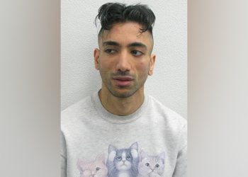 Britanski pedofil naplaćen za podrugljivo vjenčanje Disneylanda s djetetom