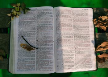 Broj 40 u Bibliji: Ovo je njegovo značenje