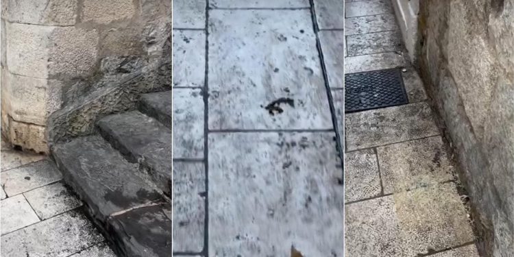 Centar Splita preplavljen izmetom, urinom i povraćanjem: ‘Je li ovo zabava? Ovo je strašno zlostavljanje’