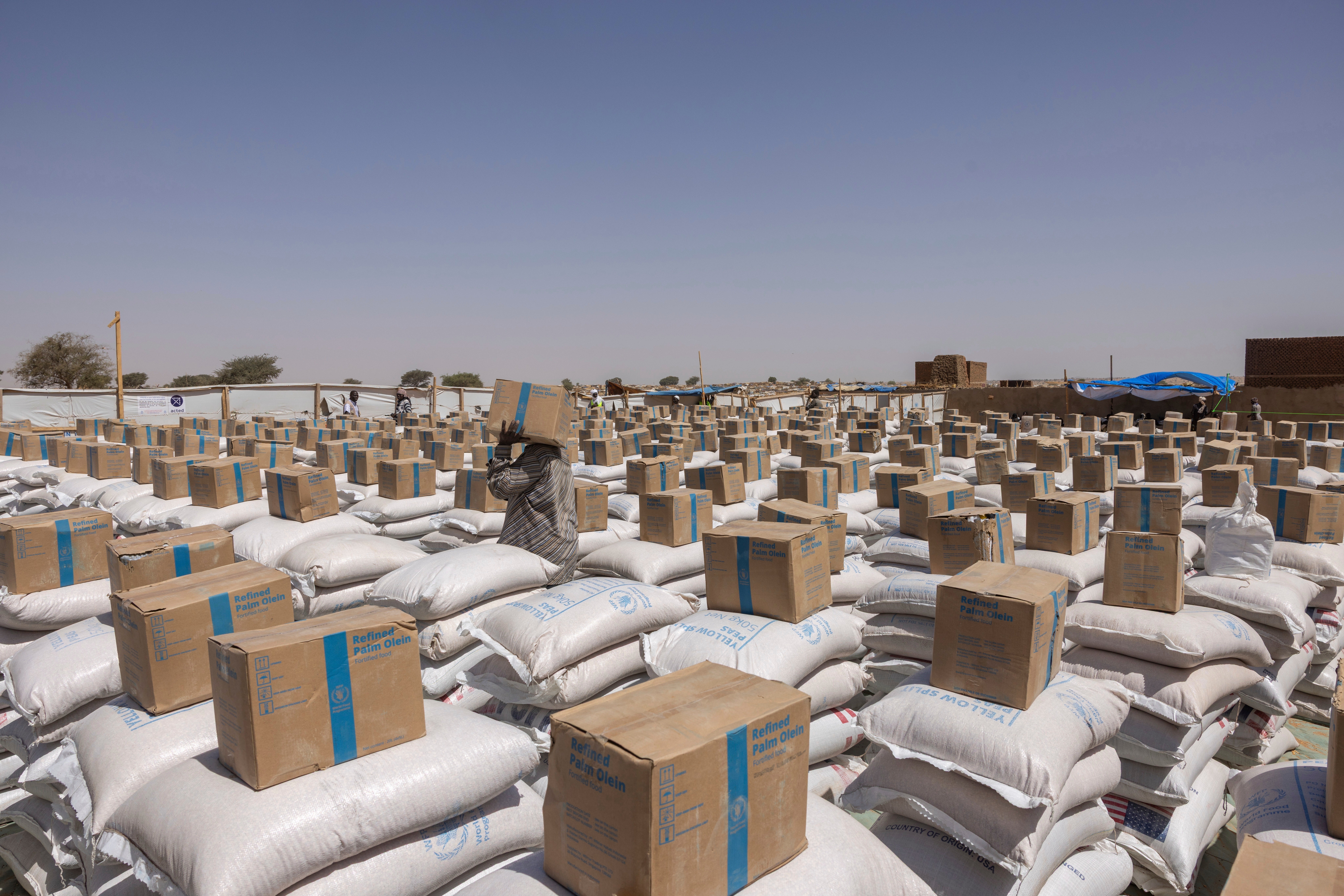 Svjetski opskrba programom za hranu pričekajte distribuciju u Chadu