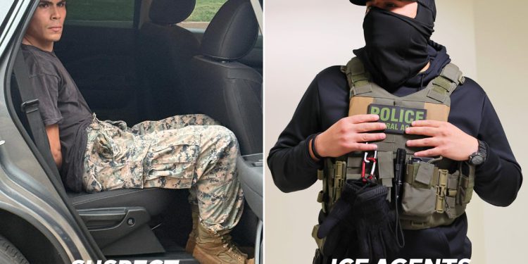 Čovjek uhićen zbog predaje štitnika za lice prosvjednicima – dok agenti leda nose maske kako bi pokrili svoj identitet