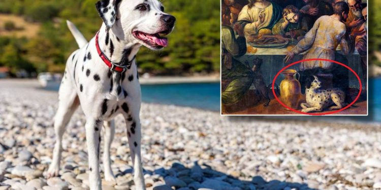 DESTINACIJA DALMACIJA 2 Dalmatinac na “Posljednjoj večeri”