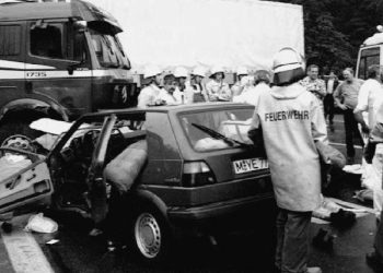 Dražena Petrovićeva smrt: Nesreća, žrtve, greške