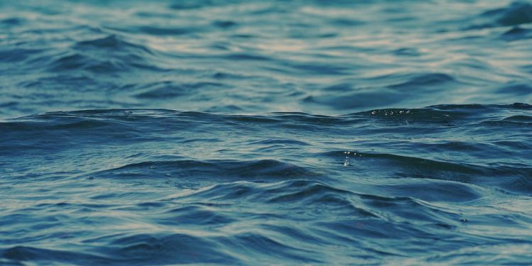 EU planira izdvojiti milijardu eura za zaštitu mora. Hrvatska zastupnica u EP: "Ovo će koristiti našim ribarima!"