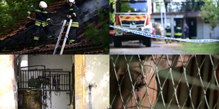 FOTOGALERIJA Obišli smo zgarište na hipodromu u Sinju: Urušena štala, iz plamena spašeno 20 konja!