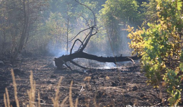 FOTO/VIDEO Fotograf Hercegovina.info zabilježio razmjere požara kod Ljubuškog