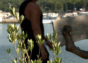 Fažana otvorila park maslina