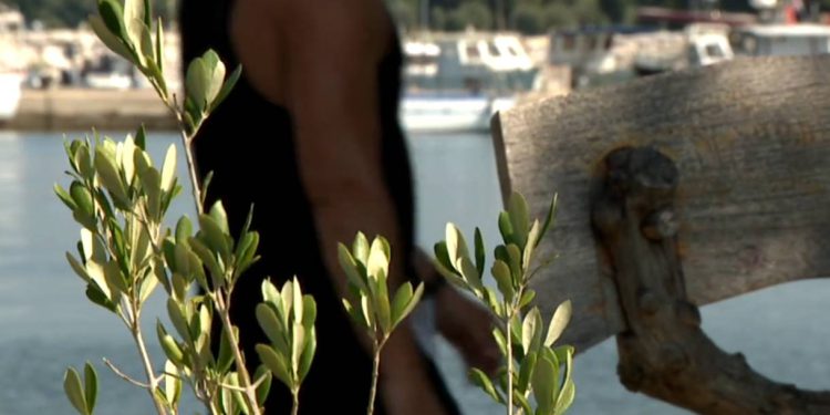 Fažana otvorila park maslina