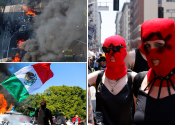 Galerija: Nasilni lativi La Nereda vide goruće zastave, automobile zapele nakon imigracijskih racija