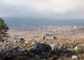 Glamoč građanima oduzima zemlju kako bi privatni investitor gradio vjetropark