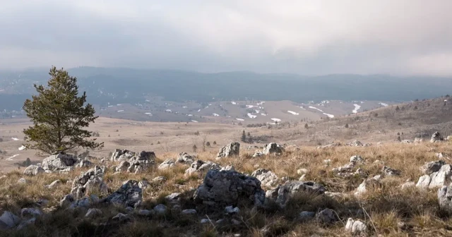 Glamoč građanima oduzima zemlju kako bi privatni investitor gradio vjetropark