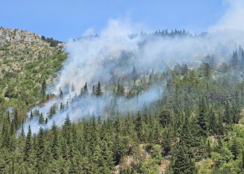 Gori u Dalmatinskoj zagori. U pomoć vatrogascima stižu zračne snage!