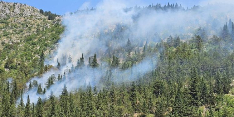 Gori u Dalmatinskoj zagori. U pomoć vatrogascima stižu zračne snage!