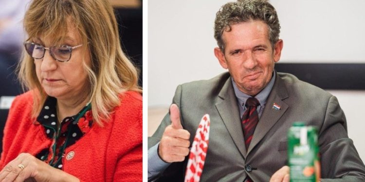 Grubišić iz HSP-a: “Čuo sam da je gospođa pripadnica ‘orjune’. Gospođa Sušić, kako se već zove…”