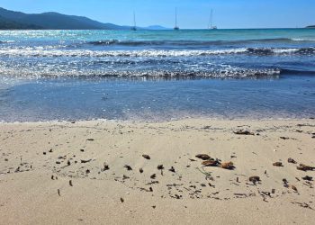 HRVATSKA POD POVEĆALOM Nema više šminke – ovo je stvarno lice Jadrana: "Globalno se prikazuje edukativno – turistički serijal o našoj obali!"