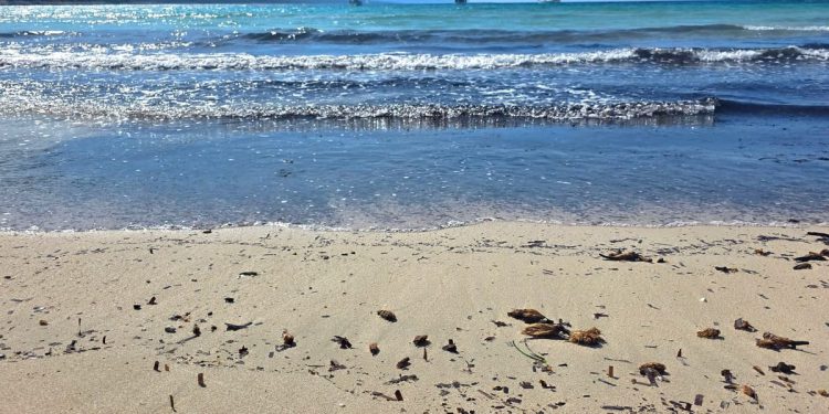 HRVATSKA POD POVEĆALOM Nema više šminke – ovo je stvarno lice Jadrana: "Globalno se prikazuje edukativno – turistički serijal o našoj obali!"