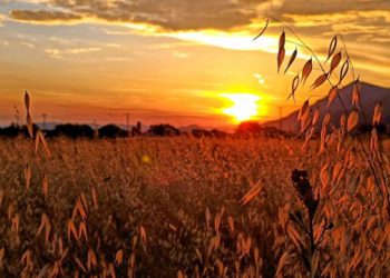 Hercegovini slijede sparni dani s mogućim nevremenom