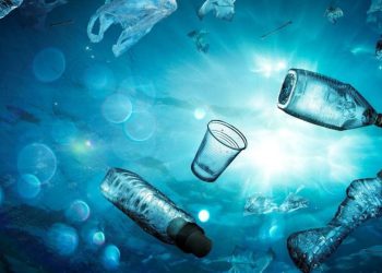 Hoće li u moru uskoro biti više plastike nego samih riba?