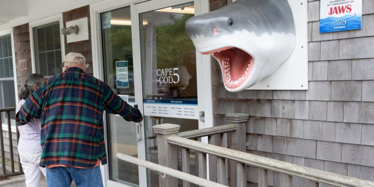 Holiday Hotspot preplavljen s filmskim fanovima koji slave Jaws ’50. godišnjicu