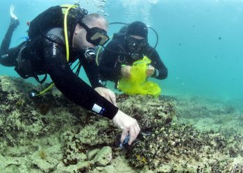 Hrvati i Slovenci zajedno jer čišćenje ne poznaje granice!”
