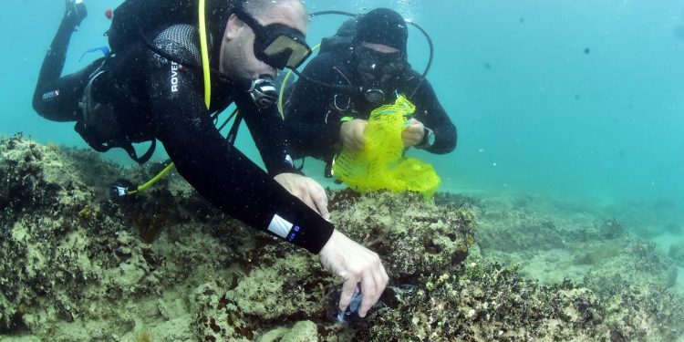 Hrvati i Slovenci zajedno jer čišćenje ne poznaje granice!”