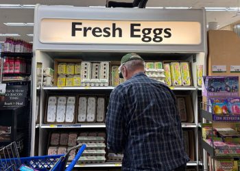 Jedan od najvećih proizvođača jaja u zemlji izgubio je 95% pilića od ptičje gripe. Moglo bi se napisati povećanje cijena