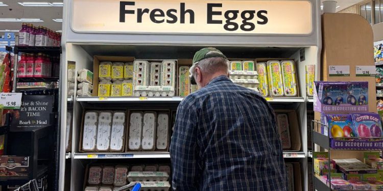 Jedan od najvećih proizvođača jaja u zemlji izgubio je 95% pilića od ptičje gripe. Moglo bi se napisati povećanje cijena