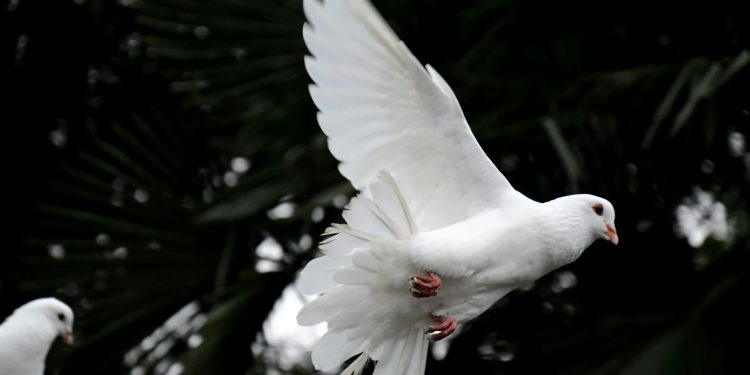 Kad Duh Sveti govori: Ovo su znakovi Njegove prisutnosti