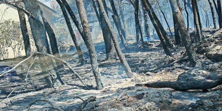 Kod Piska izgorjela površina je 300 hektara , gasitelji dežurali cijelu noć! Ozlijeđen vatrogasac i nekoliko građana